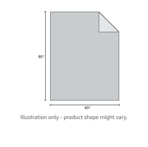 Mr. Sandman Weighted Blanket for Adults Queen Size 15 lbs, Soft Cooling Heavy Minky Blanket for Sleep, Washable Throw Blanket with Glass Beads, 60 x 80 Inches, Grey - Fredhappy