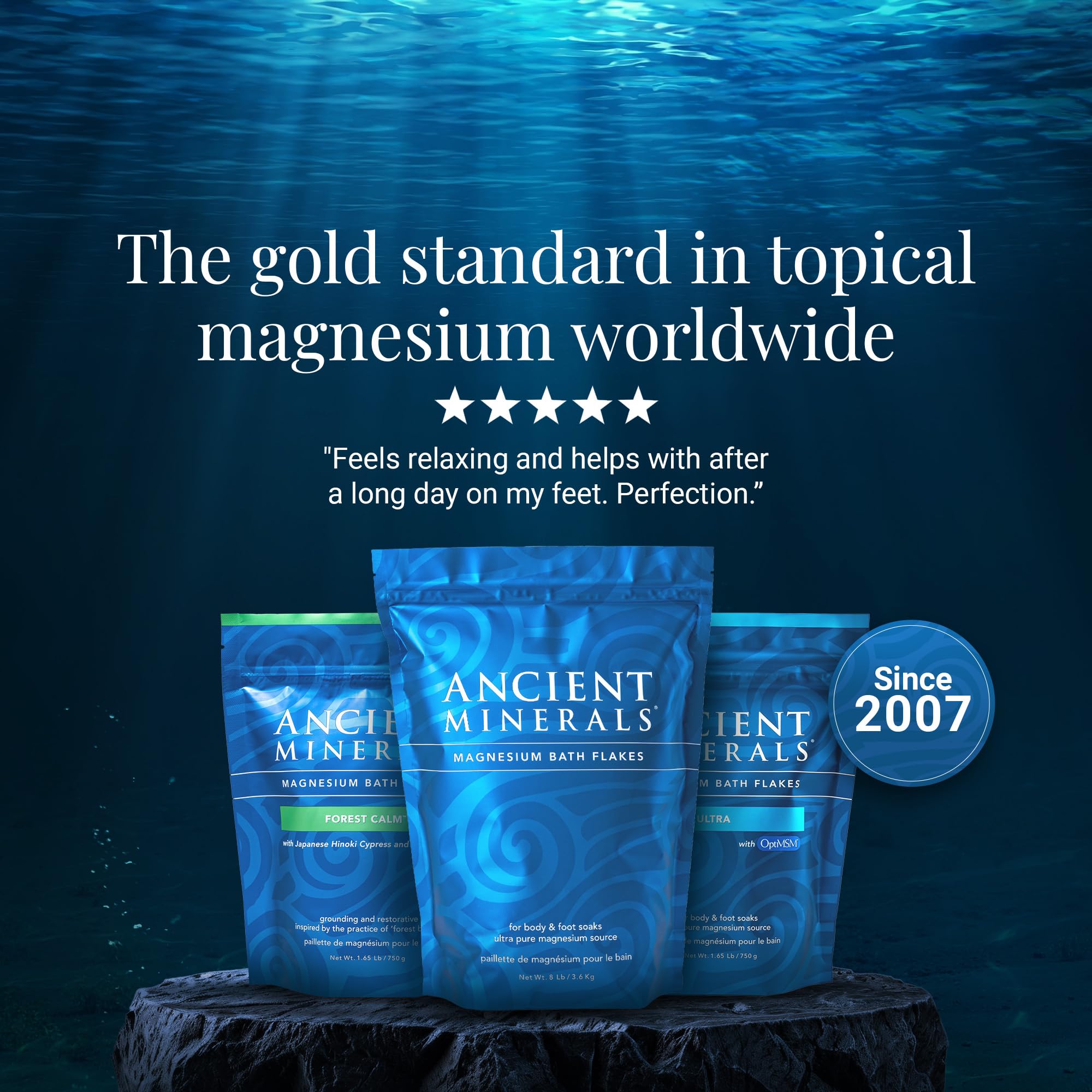 Ancient Minerals Magnesium Bath Flakes – Pure Zechstein Magnesium Chloride for Soaking and Whole - Body Replenishment, 8 lb Bag - Fredhappy